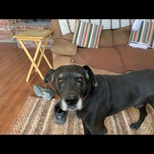 Meet your Posher, Arlene